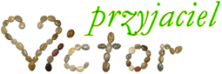Przyjaciel Victor
